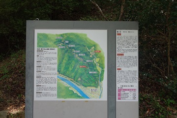 概観図