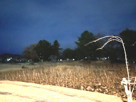 備中高松城