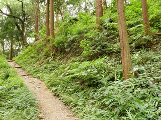 新道