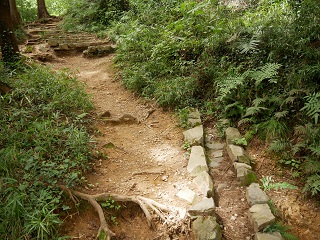 石段＋排水設備跡