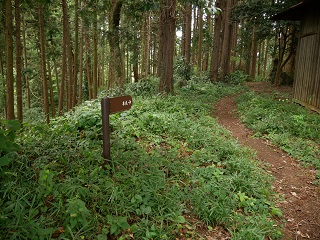 本丸方面通路