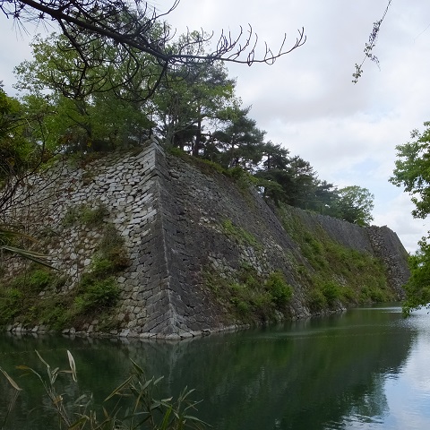 上野城