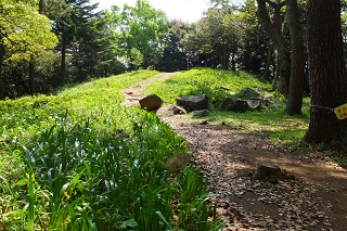 天守台