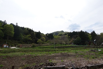 天狗の丸付近から本丸方面