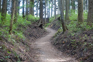 中城行き通路