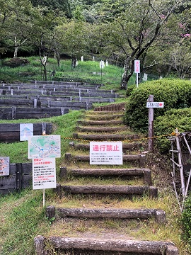 通行禁止