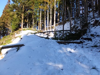 土岐門