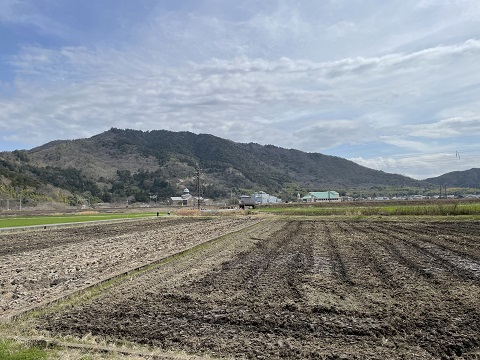 観音寺城
