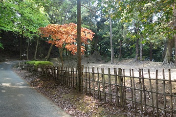 長門丸