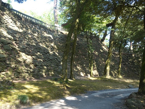 唐沢山城