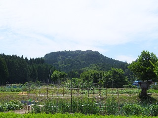 春日山遠景