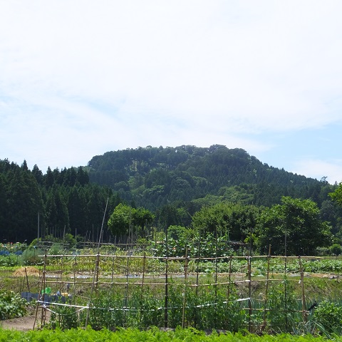 春日山城