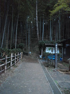 入口