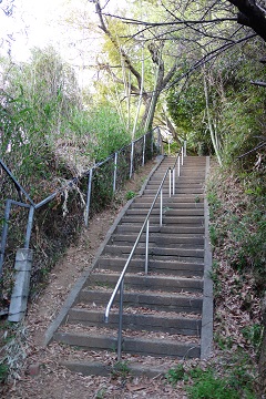 本丸への階段下