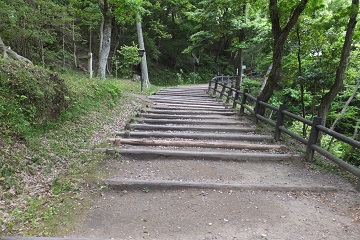 DSCF3836
