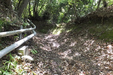 DSCF3871