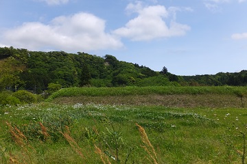 DSCF3883