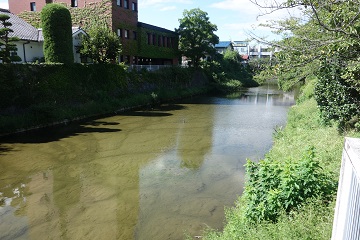 総掘(東側)