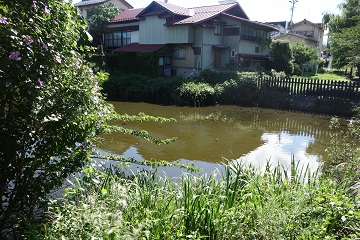 総掘(北東隅)