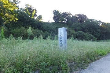 東山馬場から見上げる城山(Ⅰ郭)
