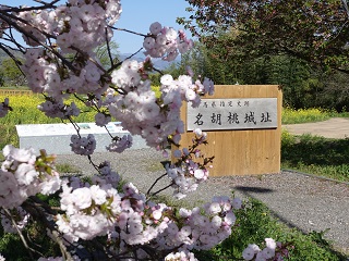 名胡桃城址