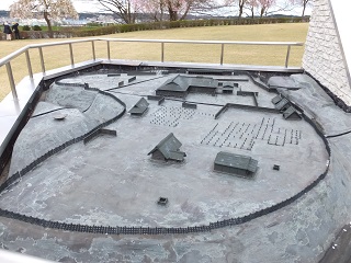 全体野外模型