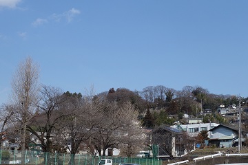 沼田城遠景