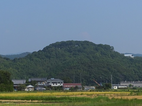 岡豊城