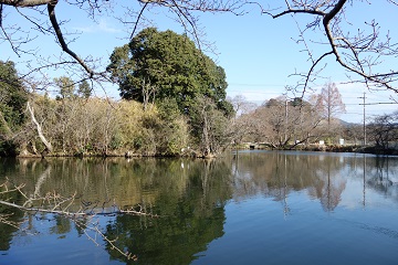南馬出し