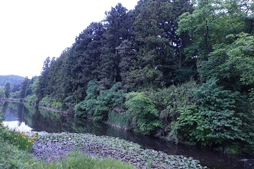 三の丸堀