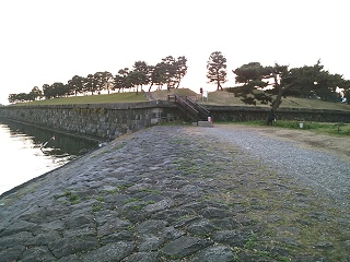 写真２個目