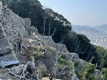 東の丸北側石垣と東登り石垣