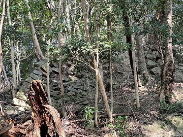 西登り石垣(上)