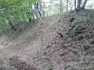 千畳敷土塁