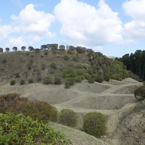 山中城
