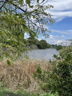 五軒屋敷池