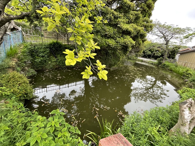 三日月池