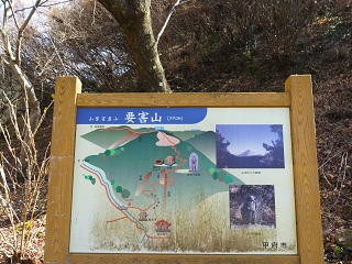 略図